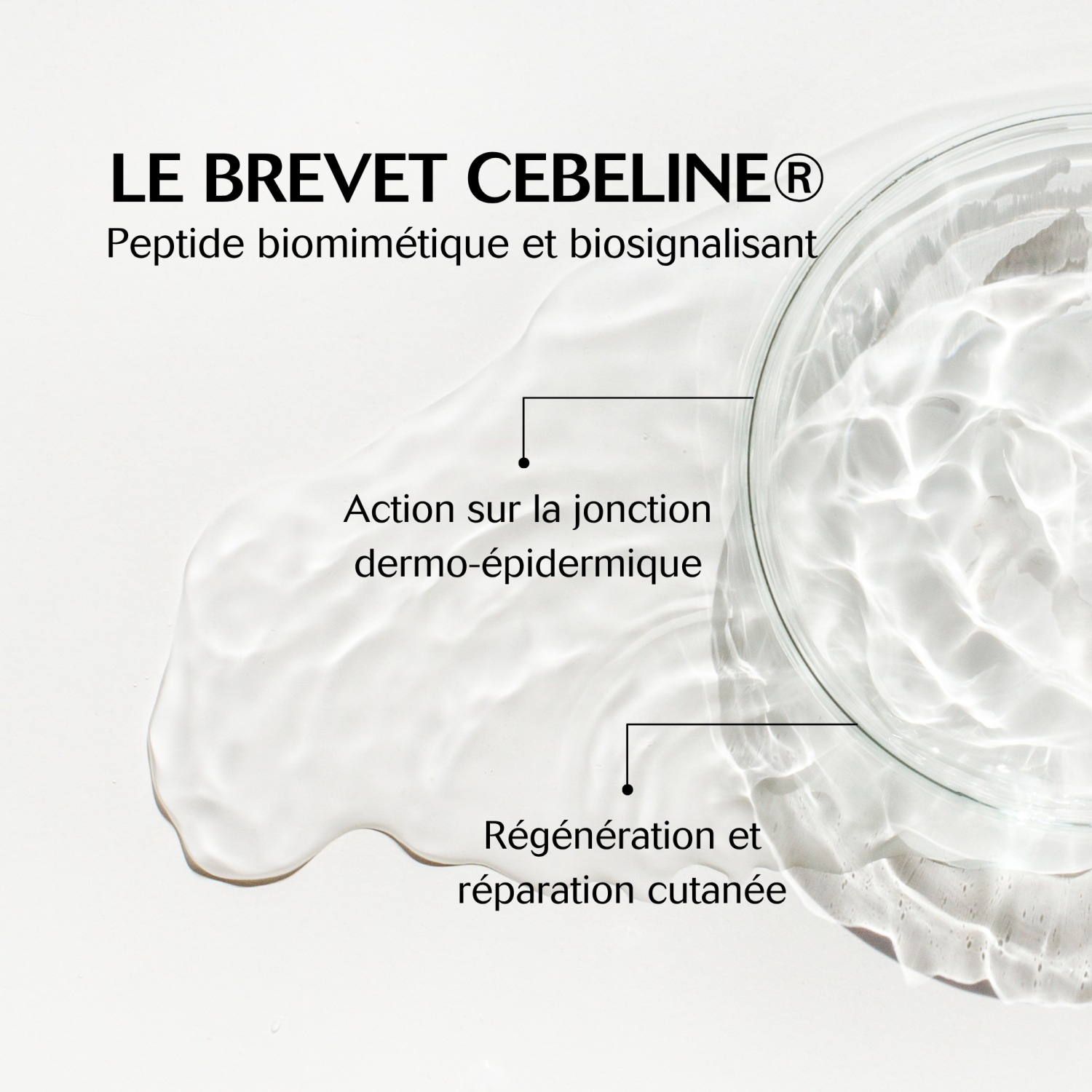 Cuir chevele - Image 4